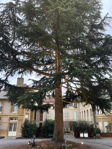 La Cour De La Tresorerie 梅斯 外观 照片